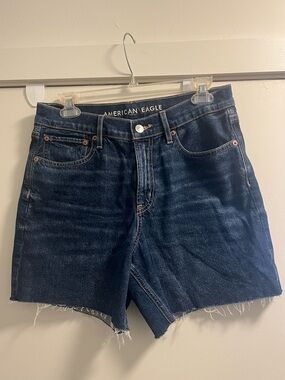 American Eagle Strigid Relaxed Shorts